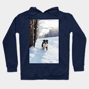 Border Collie Hoodie